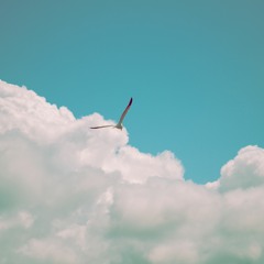 第１０話：コロナ危機、バシャールからのメッセージ、どうすれば心から本当に人や自分を許せる？