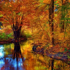 Fall Romance