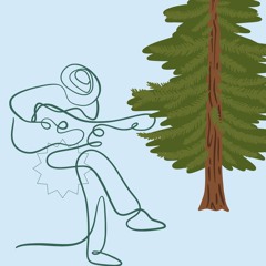 Jammin' in the Woods