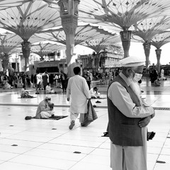 آيات خاشعة بصوت القارئ شريف مصطفى.