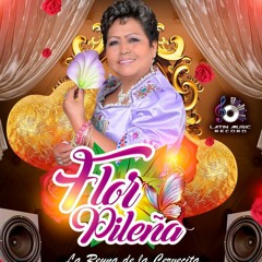 100 - FLOR PILEÑA - TODO PARA TI - DJ BRAYAN MIX