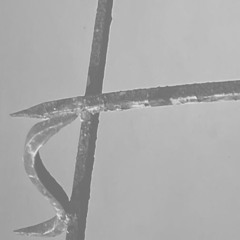OA live extract