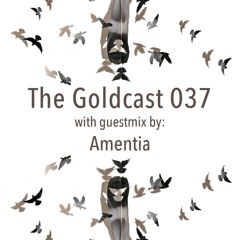 The Goldcast 037 (Sep 11, 2020) with guestmix by Amentia