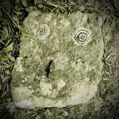 Sisu
