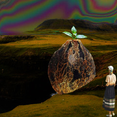 Liquid State