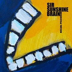 Sir Sunshine Brain