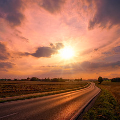 We All Need Roads