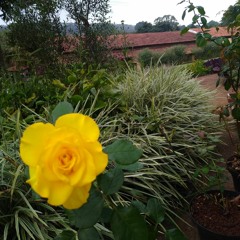 25.06.2022 - Cap. XI - Amar o Próximo Como a Si Mesmo - O Egoísmo (17)