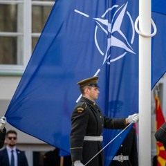 Boutique Politic: 75 лет НАТО - итоги.