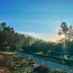 ‏״על ‏ידי ריקודים והמחאת כף נעשה המתקת הדינים״