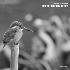 sidthekid - BIRDIE