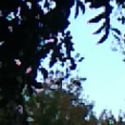 From Inside