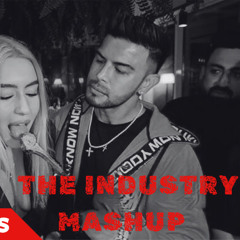 The Industry Mashup | Hindi x English Mashup 2025 | Vibrant Reverb Music [Official Music]