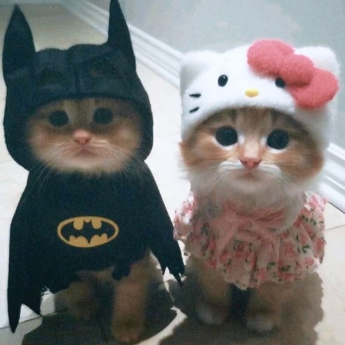 for my liege - kirby