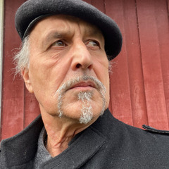 Stilla land - Anders Hutter