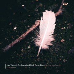 Asaf Avidan - My Tunnels Are Long And Dark These Days (Hmmka Remix)