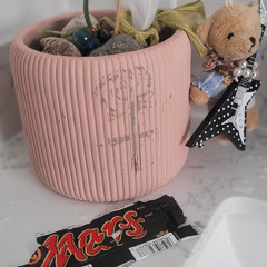 ⏾♀️Olive Trees♂✶