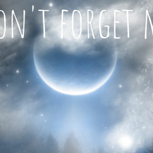 Don't Forget Me