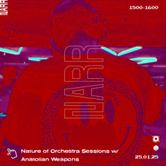 The Nature of Orchestra Sessions w/ Anatolian Weapons 25/01/25
