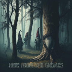 Hide from the Gnomes