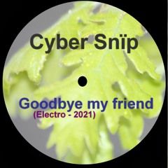 Goodbye  My Friend (Electro 2021)