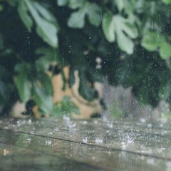 On The Porch, In The Rain