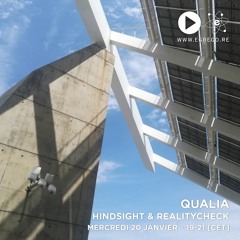 Qualia - Hindsight & Realitycheck(Janvier 2021)