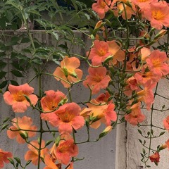 나의 옛날이야기(240617)