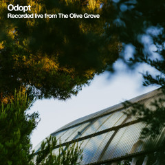 Live from the Adriatic 2025: Odopt