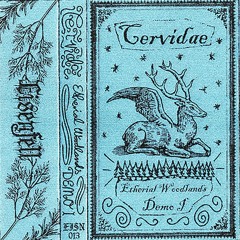 Cervidae - Sunrays Through The Misty Forest