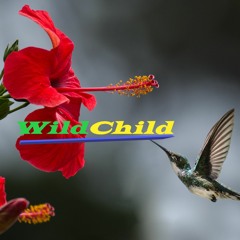 WildChild