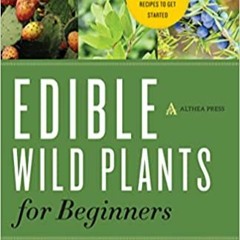 READ⚡️PDF❤️eBook Edible Wild Plants for Beginners: The Essential Edible Plants and Recipes to Get St