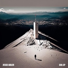 Jesse Adler - Madeleine [ANALOGmusiq]