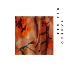 LADS- Cedar (Urmet K Remix) [Nie Wieder Schlafen]