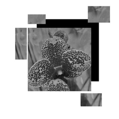 Entropy