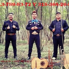 MARIACHI CIELO DE CALI CRISTIAN NODAL DE LOS BESOS QUE TE DI 313-759-53-72