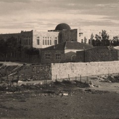 כח השישה" של ישראל הצעירה"