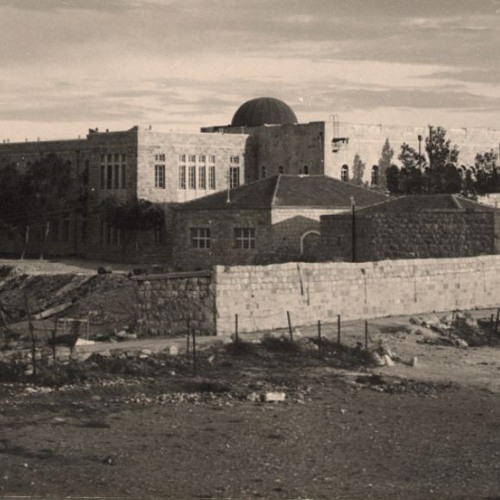 כח השישה" של ישראל הצעירה"
