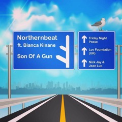 Northernbeat feat. Bianca Kinane - Son Of A Gun (Nick Jay & Jean Luc Remix)