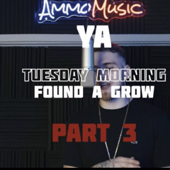 Tuesday morning found a grow (part 3)