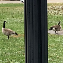 thirteen - we'd both be better off if we had never met