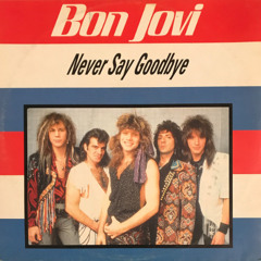 Bon Jovi - Never Say Goodbye - Soulsearcher Mix