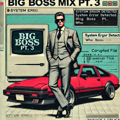 BIG BOSS MIX PT. 3