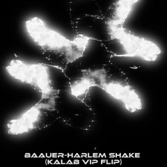 baauer-harlem shake (kalab vip flip)