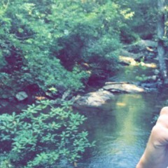 Alabama Georgia st line 2022 song