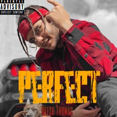 Meesh Thomas ~ Perfect