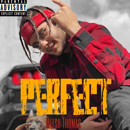 Meesh Thomas ~ Perfect