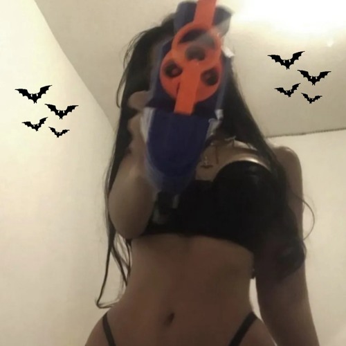 Chauve souris