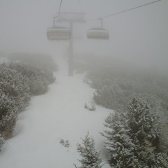 The Integration Loops I