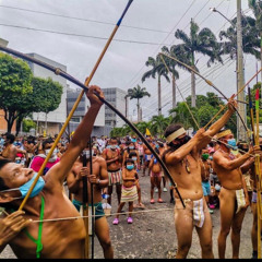 Los Guerreros Motilones